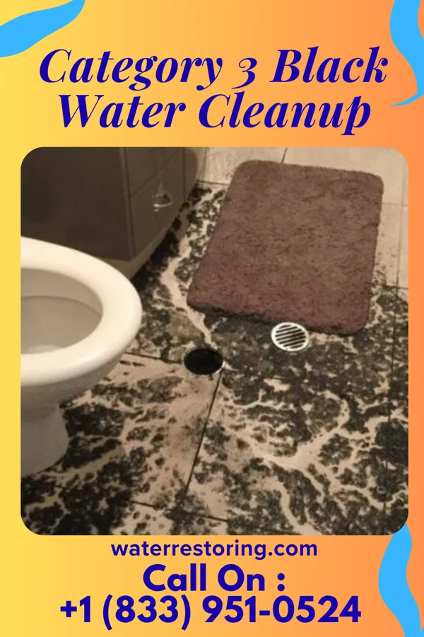 Category 3 Black Water Cleanup in Adams, OR